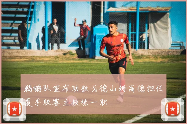 鹈鹕队宣布助教戈德山姆高德担任夏季联赛主教练一职